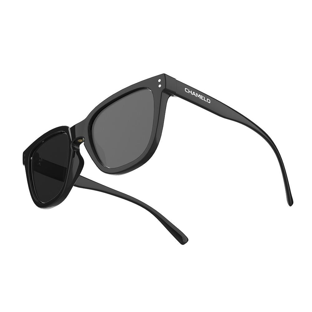 Chamelo Lifestyle Zurix Sunglasses Size Medium-Large