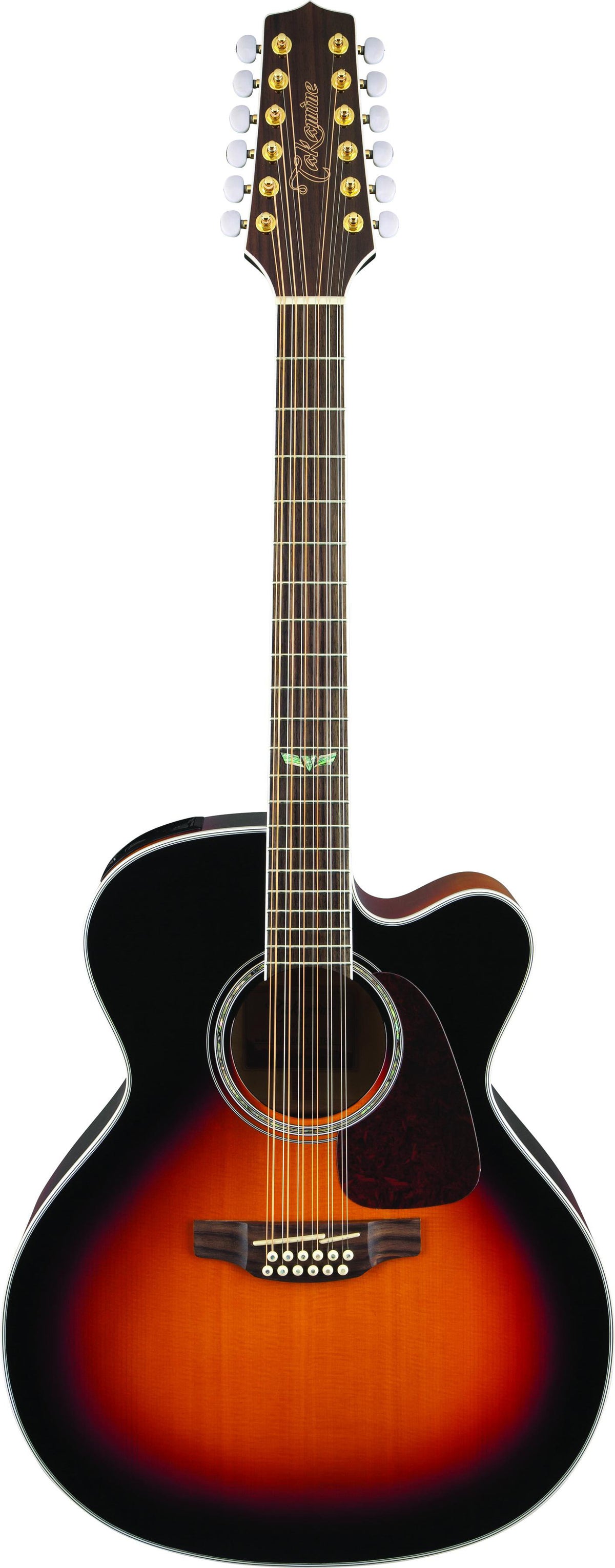 Takamine 12-String Acoustic-Electric Guitar