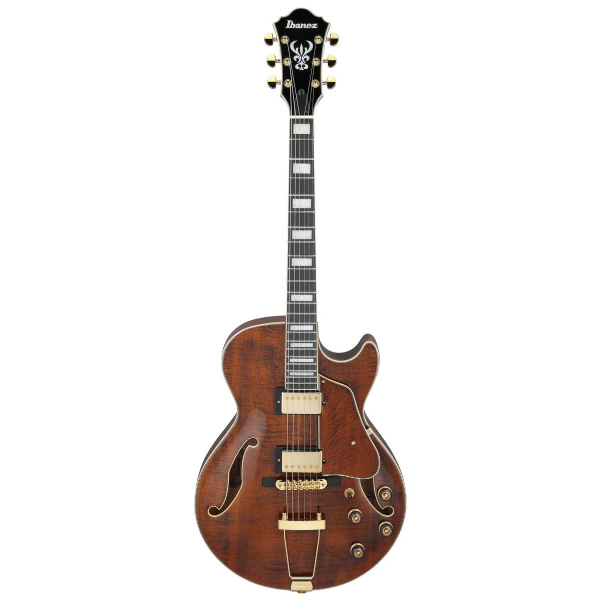 Ibanez Artcore Expressionist AG95MG Semi-hollow Electric Guitar