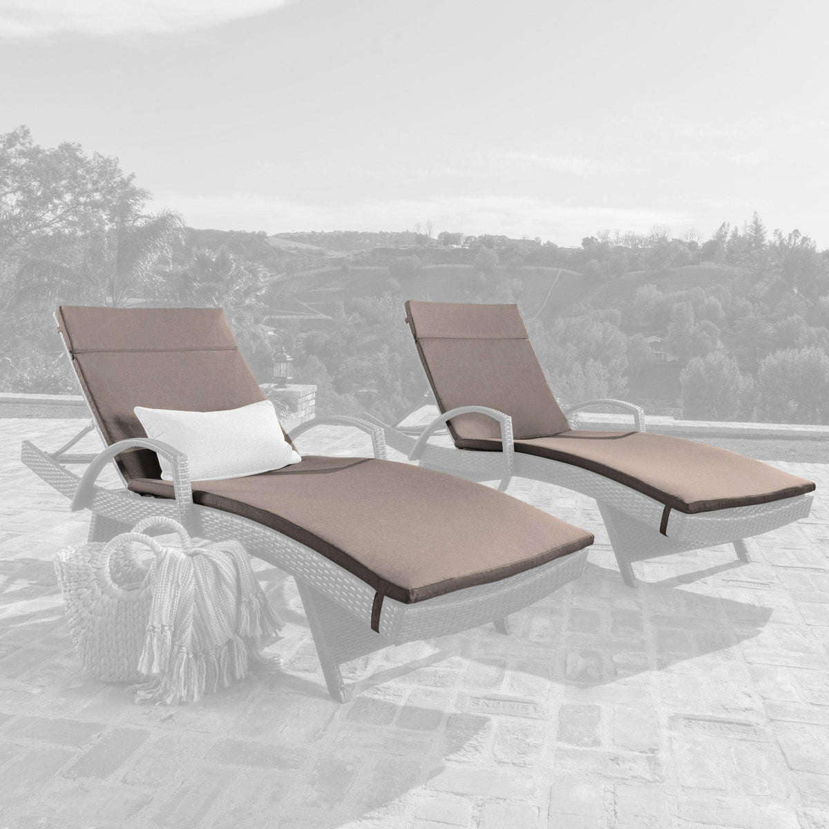 Stark Home Salem Outdoor Wr Chaise Lounge Cushions Set (2)