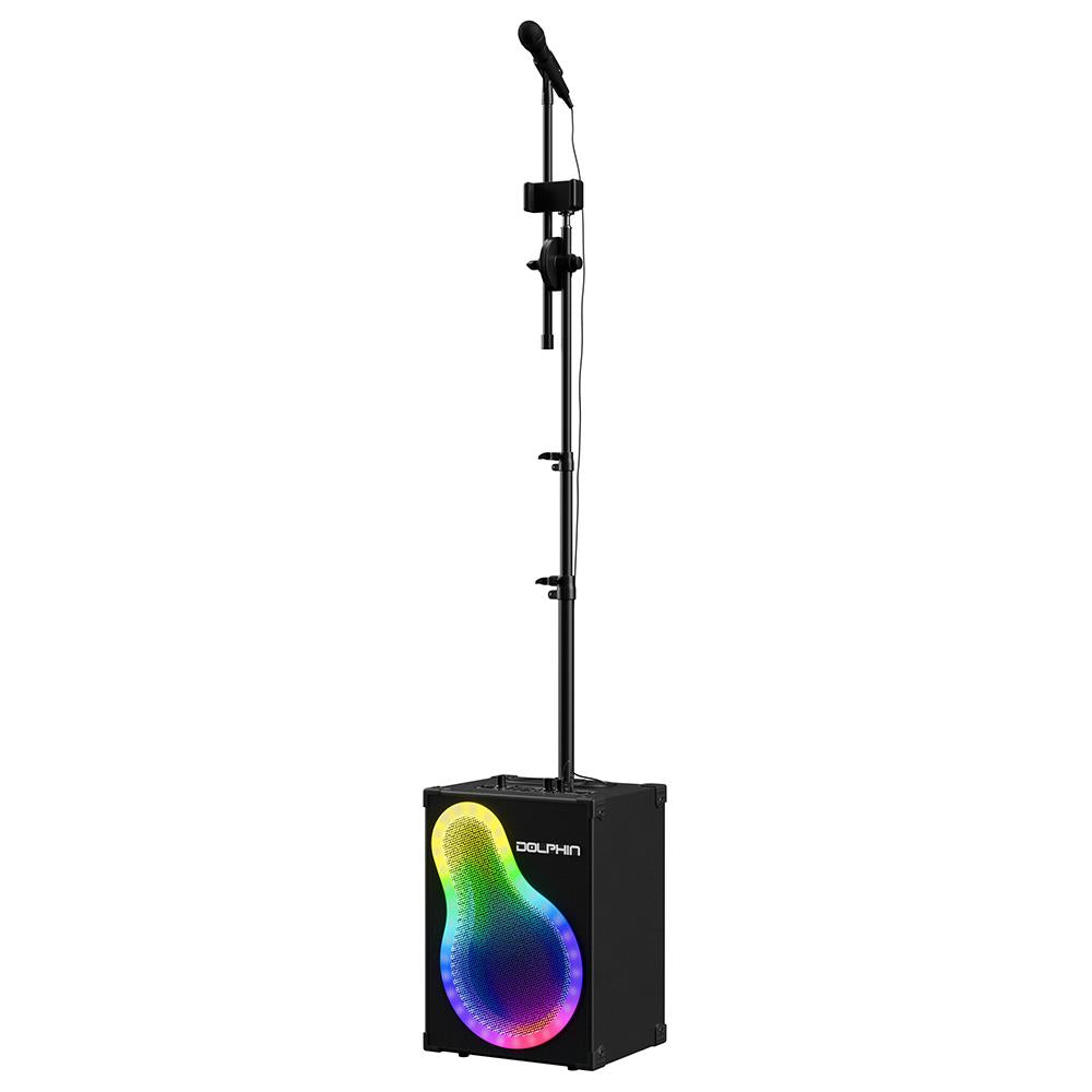 Dolphin Karaoke Speaker w/Mic Stand