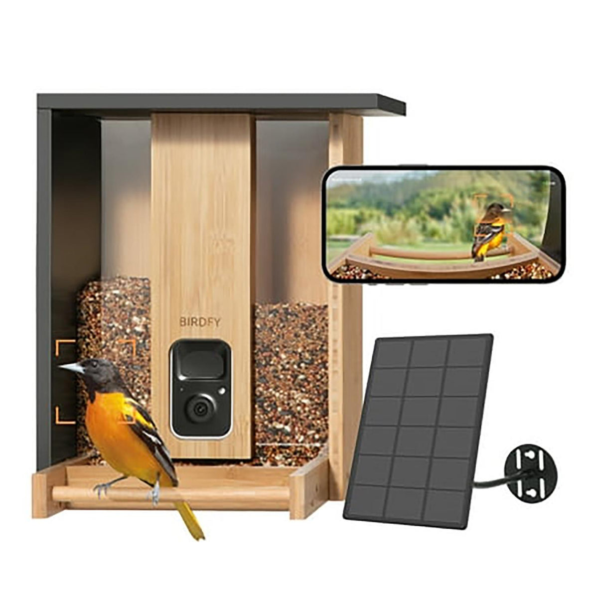 Birdfy Bamboo Smart Bird Feeder with Camera, Solar-Powered, Lifetime AI