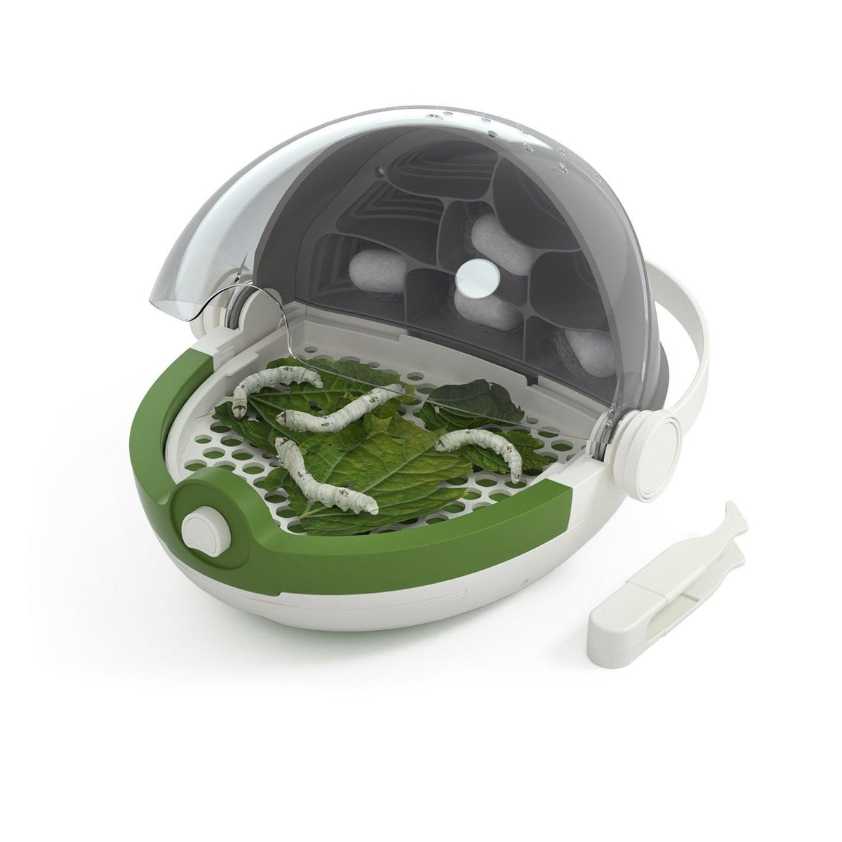 Science Can Insects Growth Station Ages 3+ Years