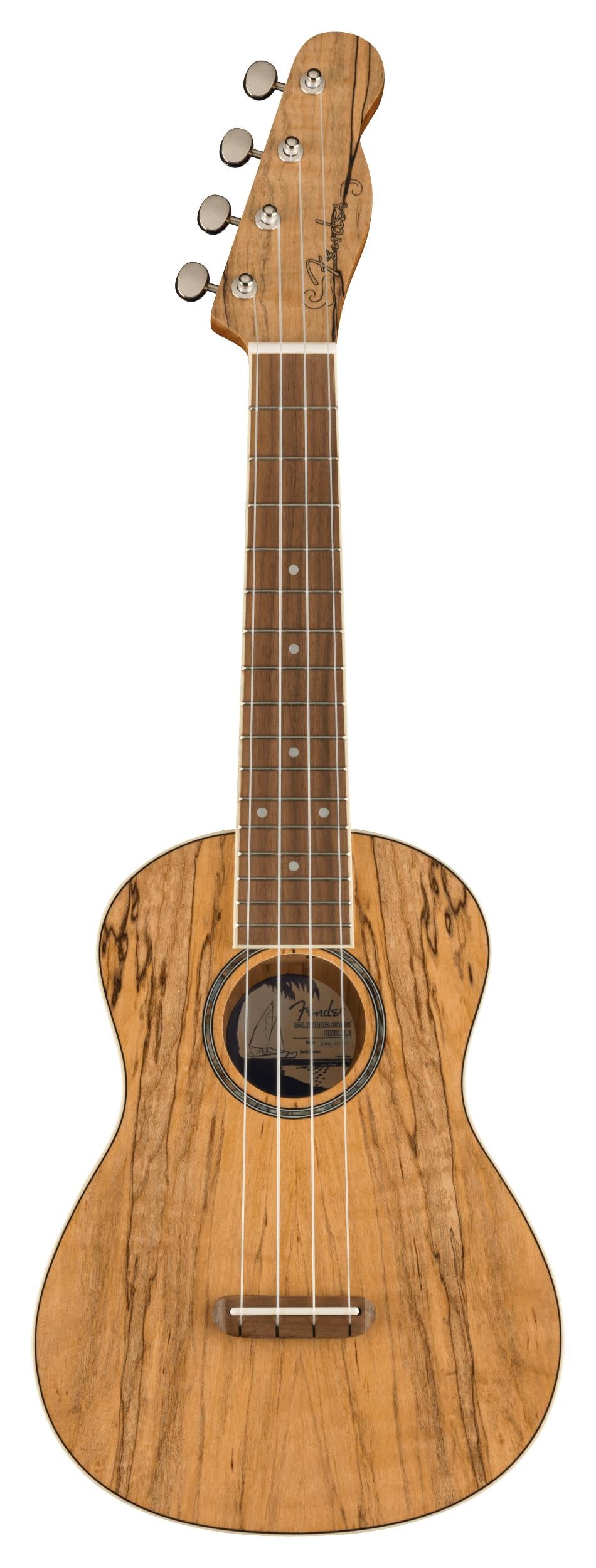 Fender Zuma Exotic Concert Ukulele with Walnut Fingerboard