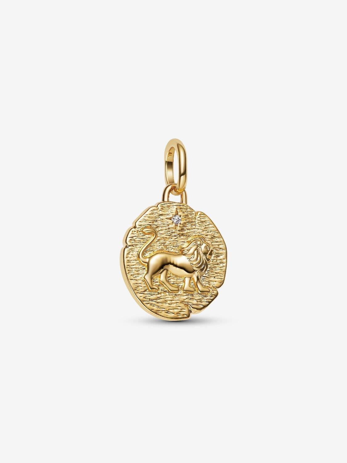 Pandora Lion Medallion Charm