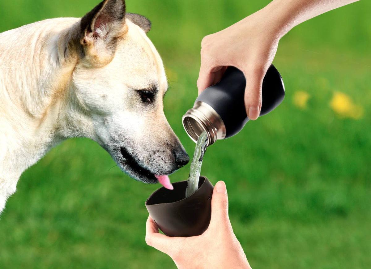 DOG GEAR MDG 25 Oz Water Bottle Size LG