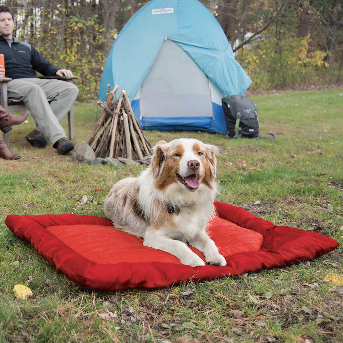 Kurgo Loft Wander Portable Waterproof Pet Bed - Large Chili Red