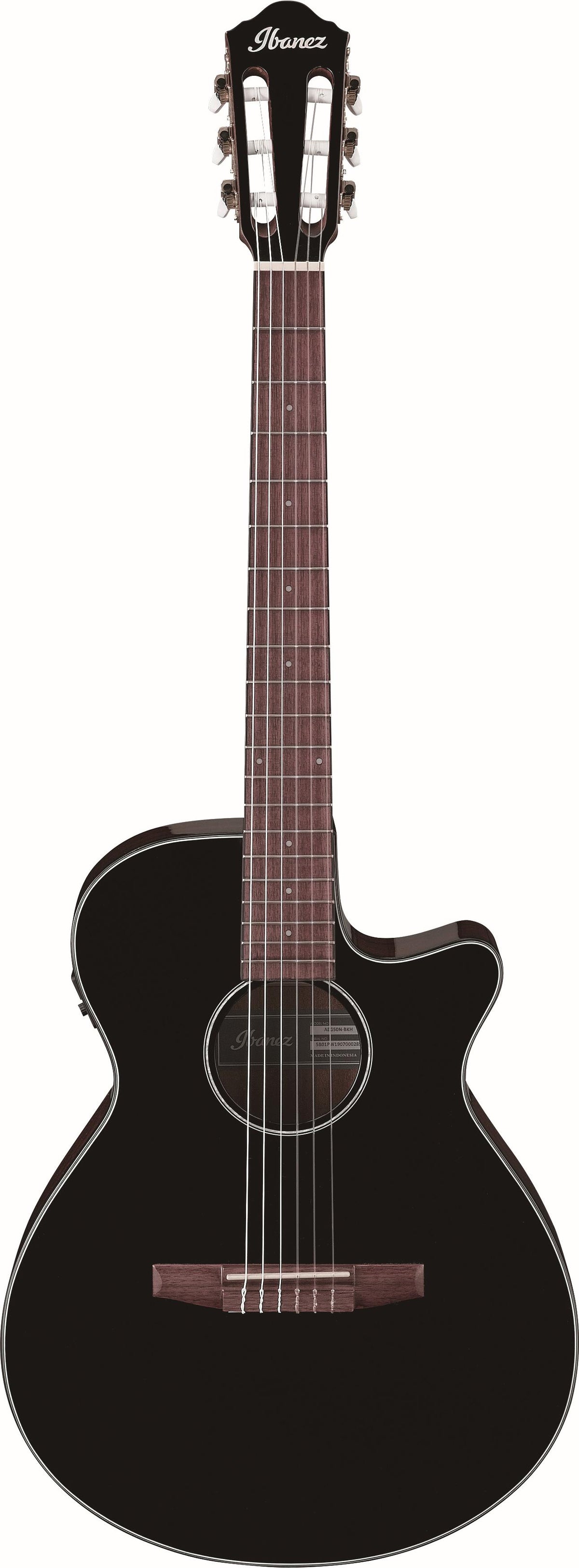 Ibanez AEG50N 6-String Acoustic Electric Classical Guitar