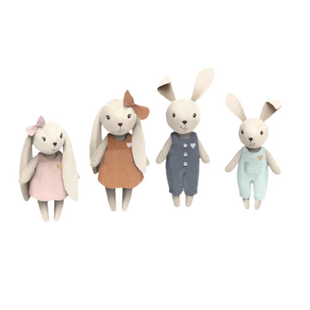 Speedy Monkey Rabbit Family