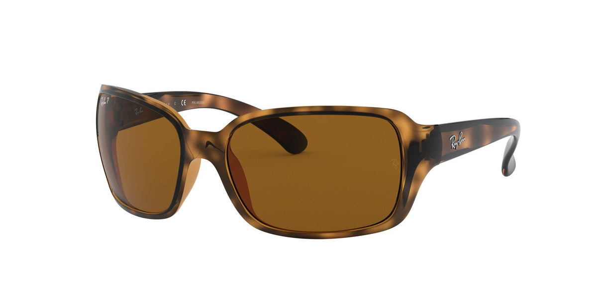 Ray-Ban Polarized RB4068 Sunglasses