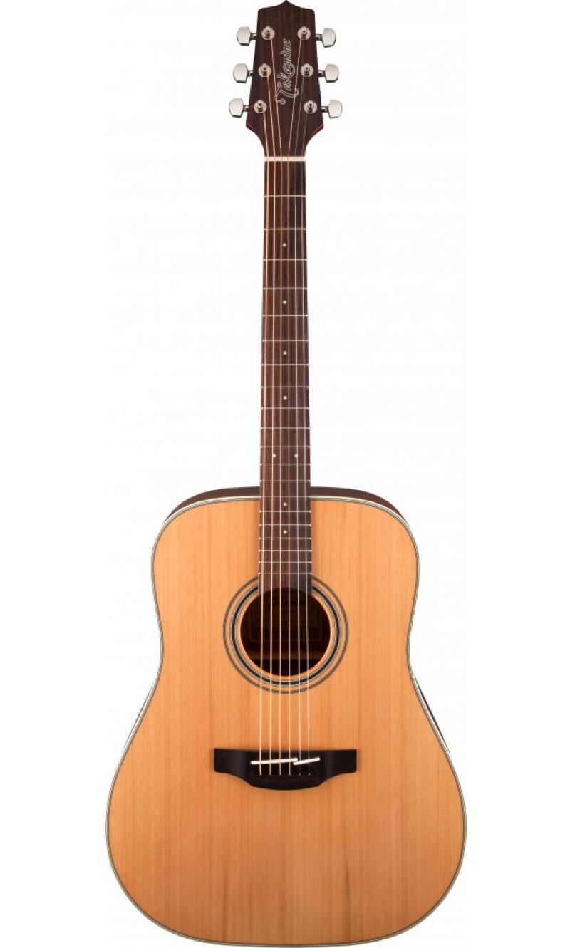Takamine GD20 Acoustic Guitar