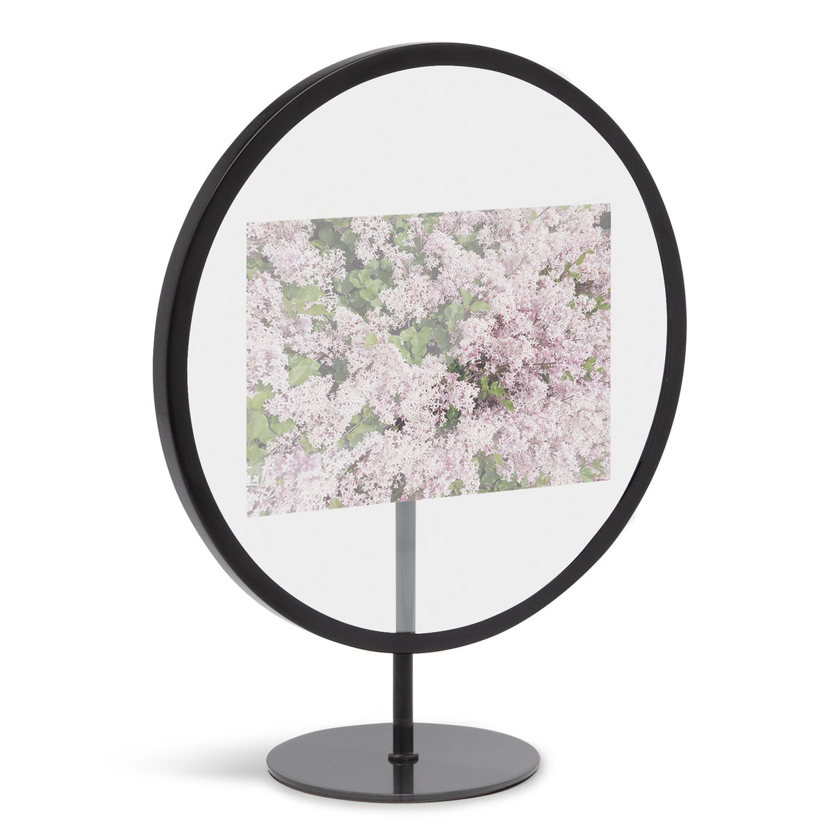 Umbra Infinity Photo Display 4X6 Black
