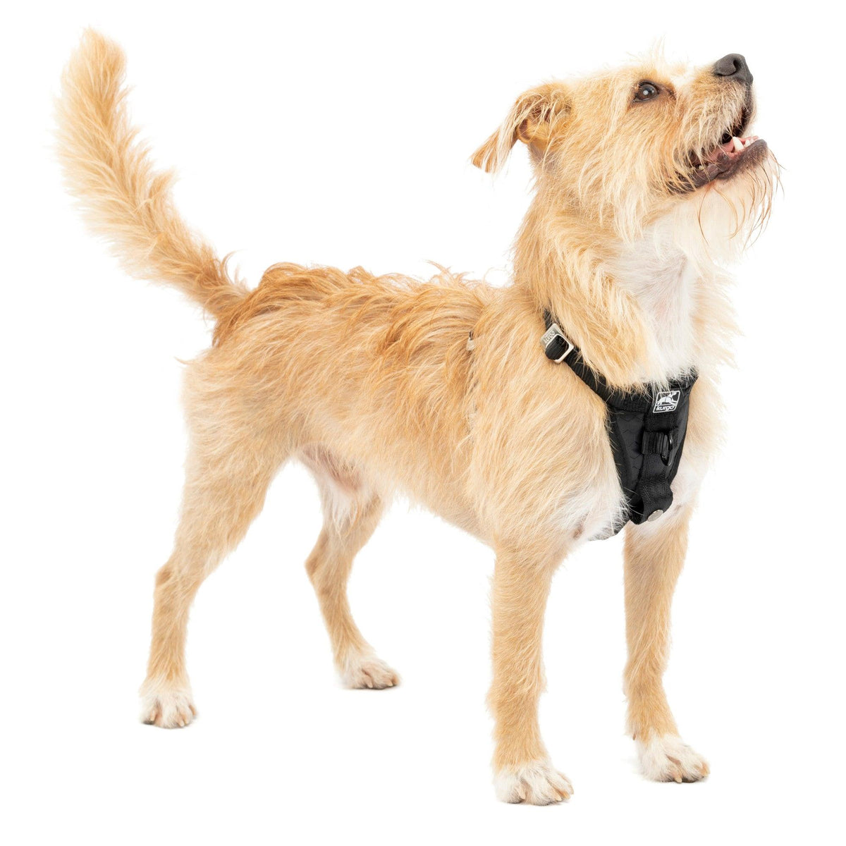 Kurgo Tru-Fit Enhanced Strength Smart Harness - X-Small Black
