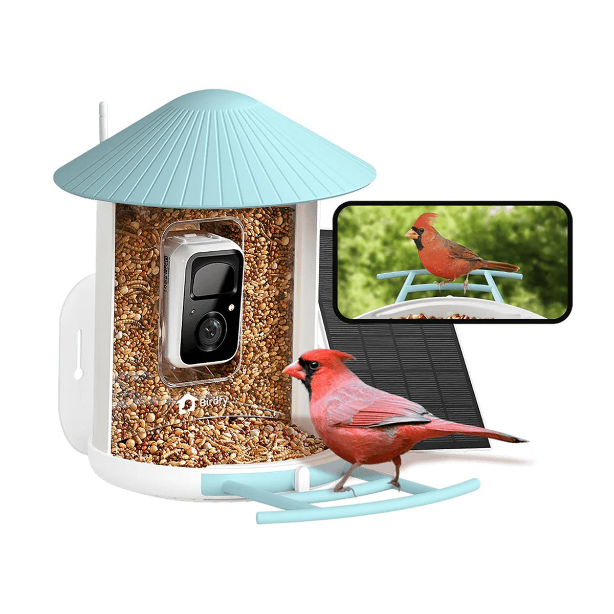 Birdfy Solar Powered Bird Feeder with Camera