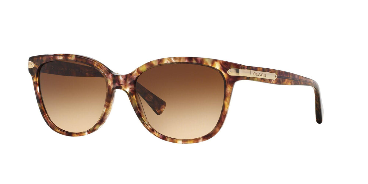 Coach Women's Sunglasses - Multi/Brown