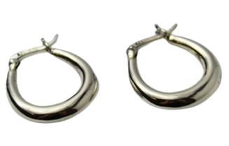 Completely Bella Sterling Silver Modern Hoop Earrings