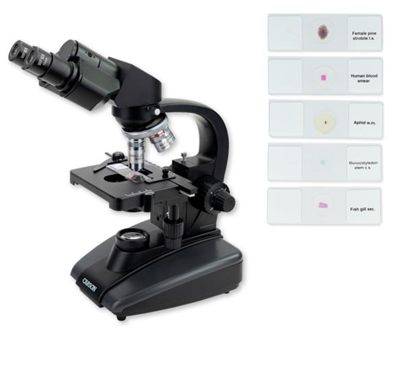Carson Advanced Compound Microscope Bundle with 5 Prepared Slides