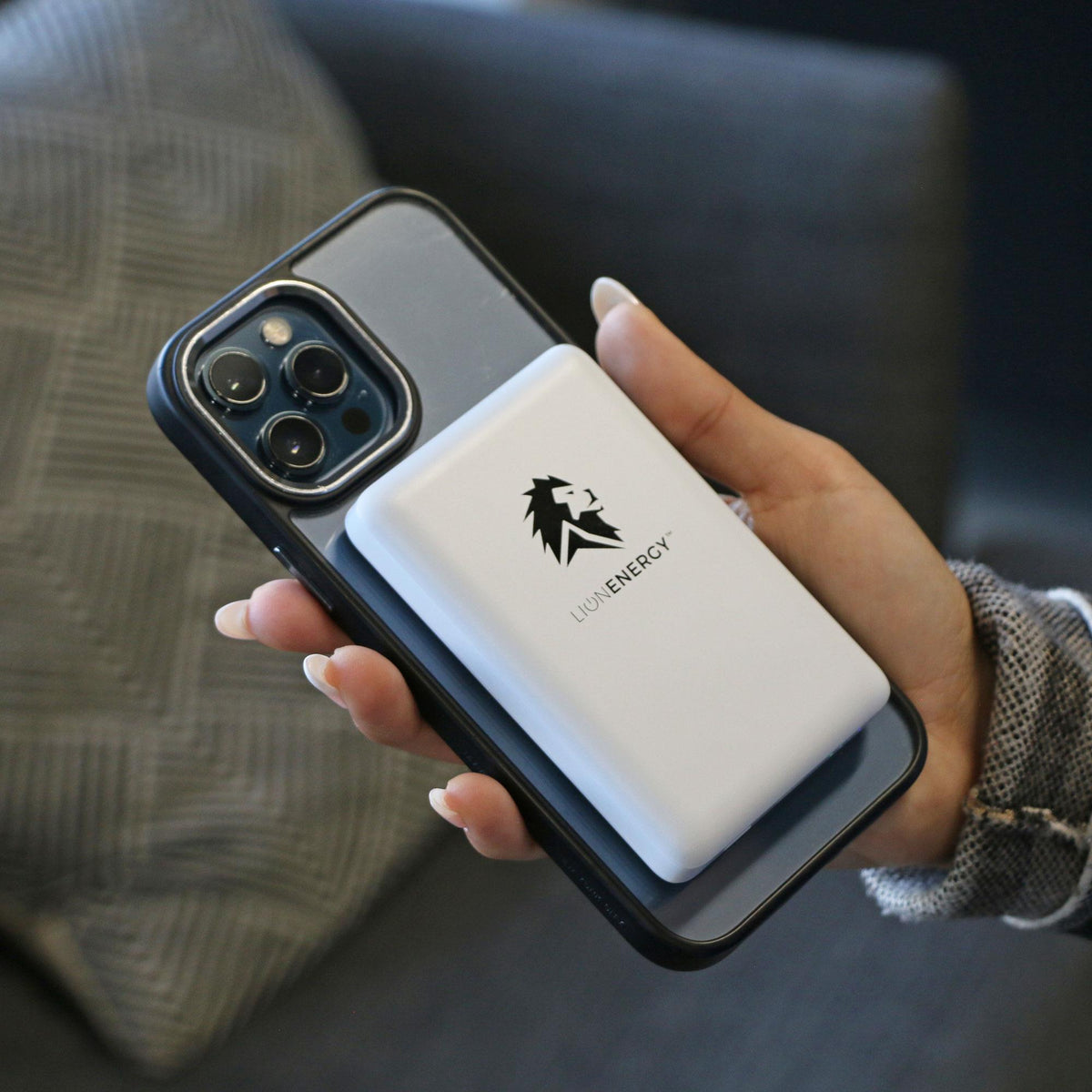 Lion Claw Power Bank