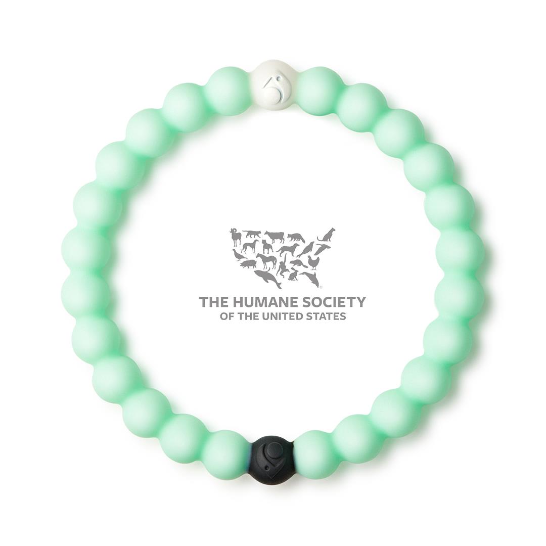 Lokai Animal Rescue Bracelet - Medium