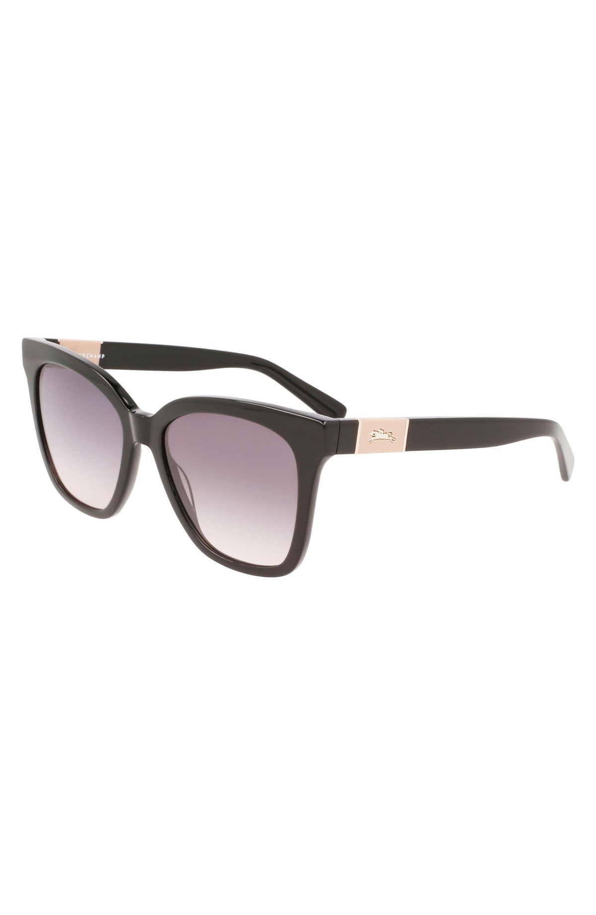 Longchamp Le Pliage Heritage Black