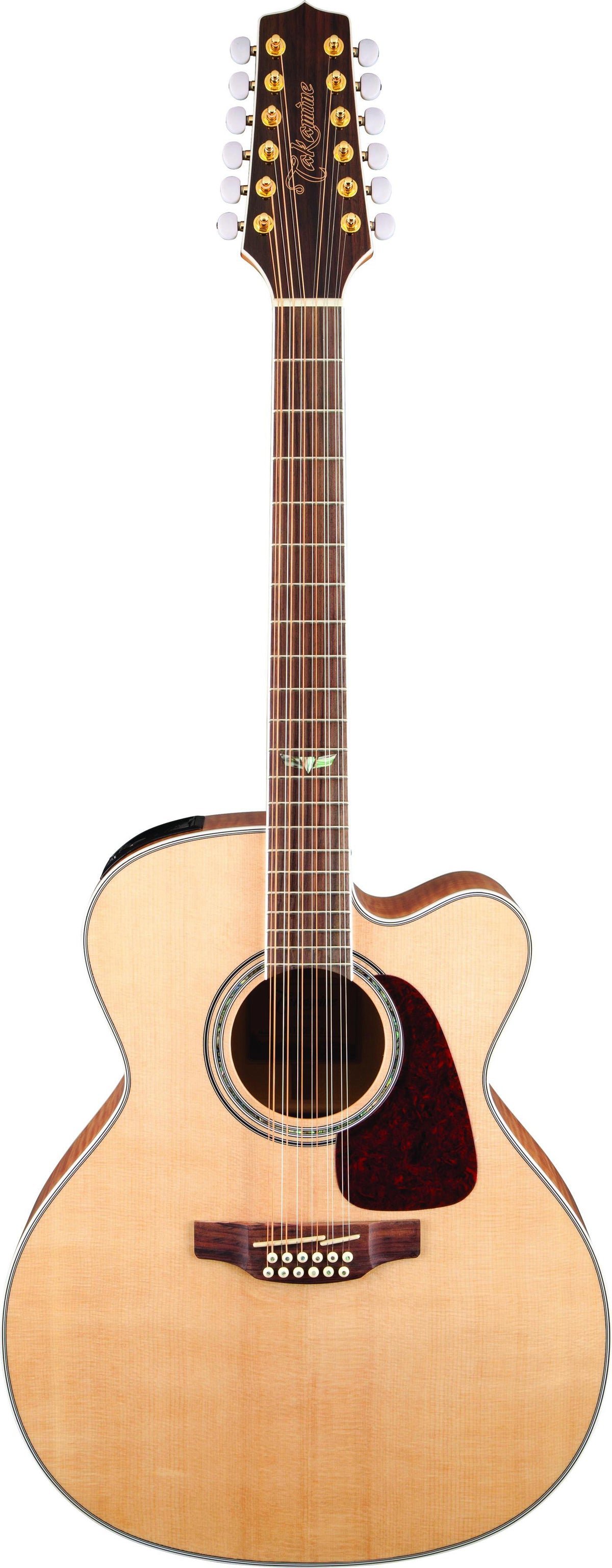 Takamine 12-String Acoustic-Electric Guitar