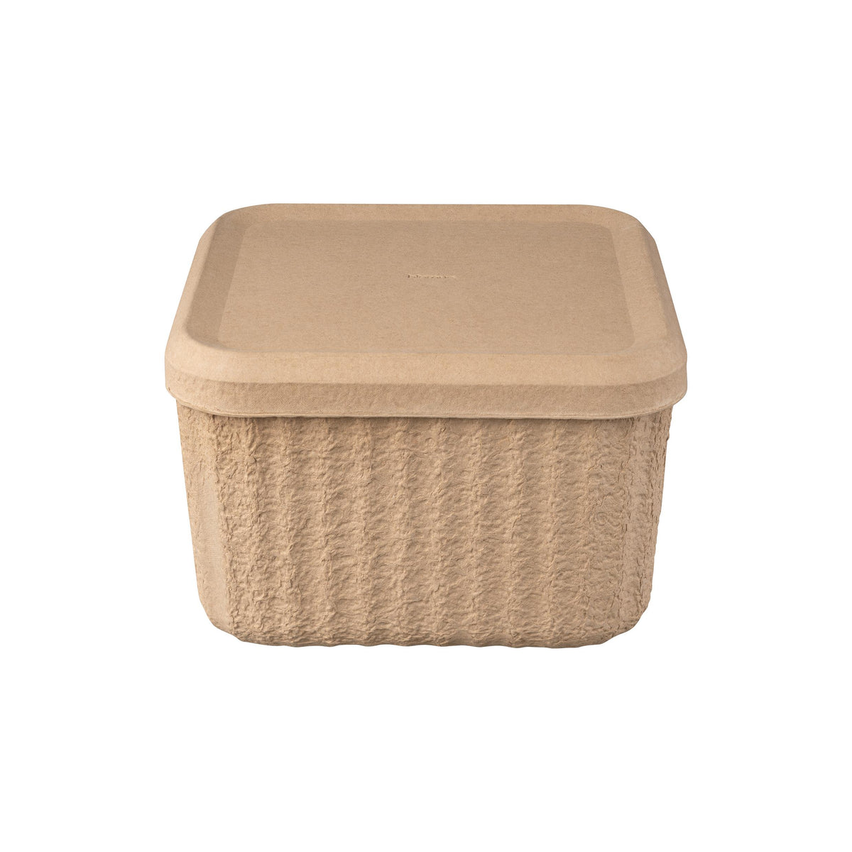 Blomus REDO Storage Boxes Set of 2 - Large