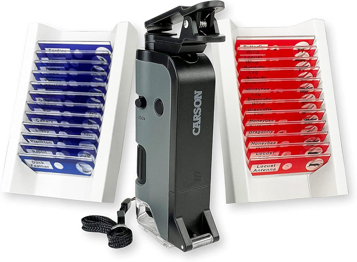 Carson Microflip Bundle with 24 Prepared Insect and Animal Slides