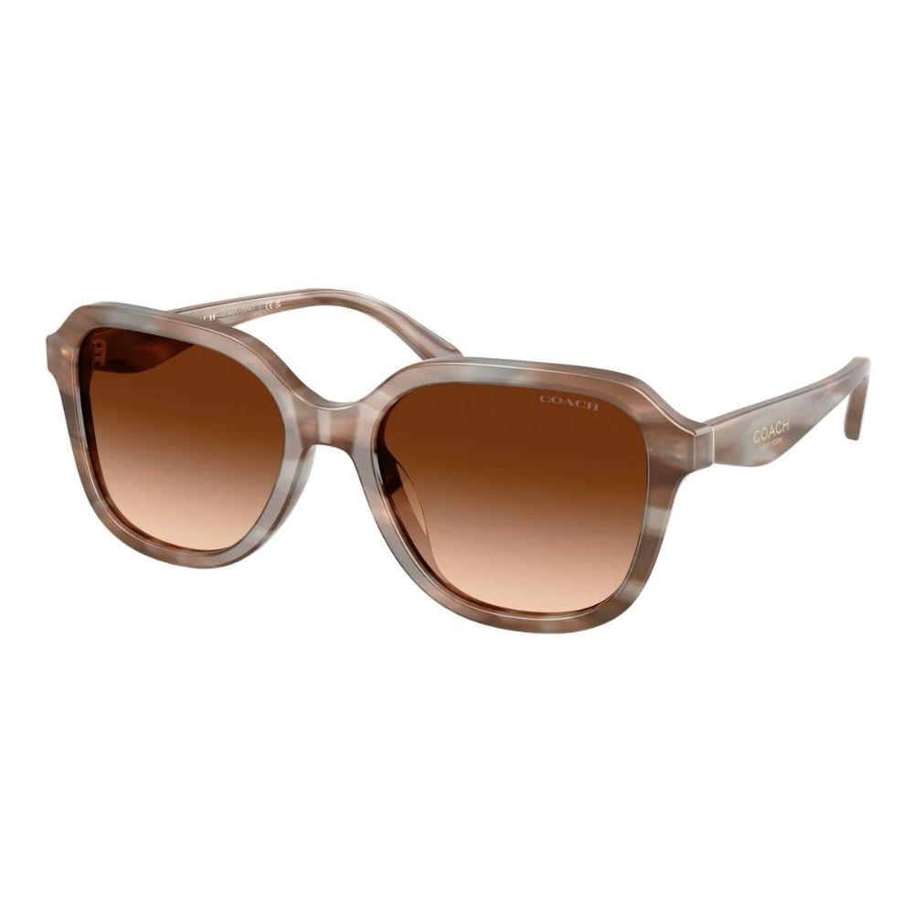 Coach Women's Non-Polarized Sunglasses