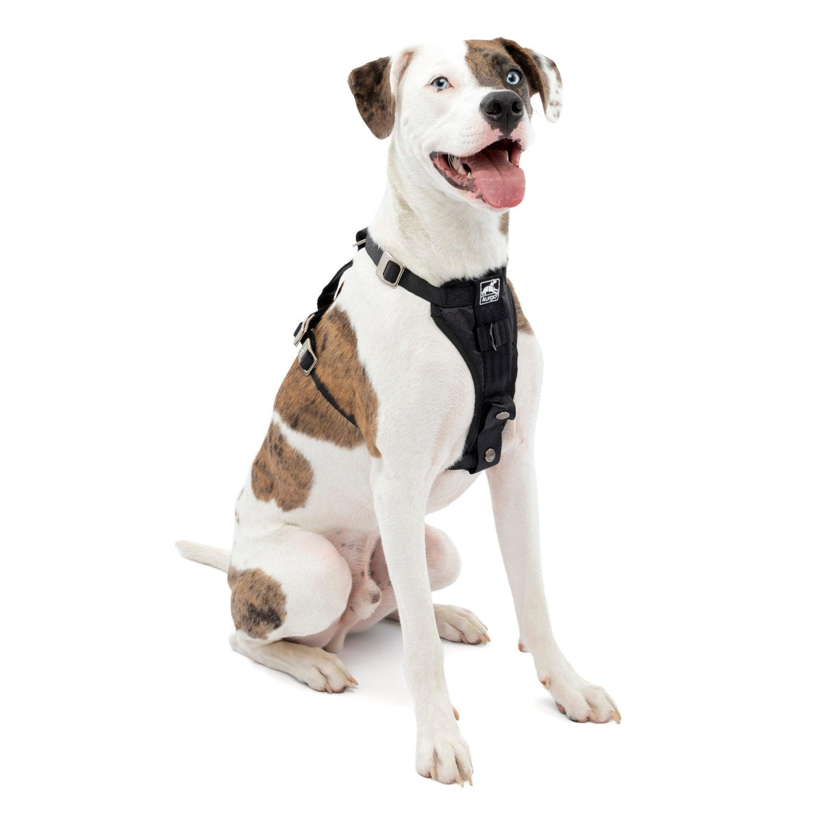 Kurgo Tru-Fit Enhanced Strength Smart Harness - Medium Black