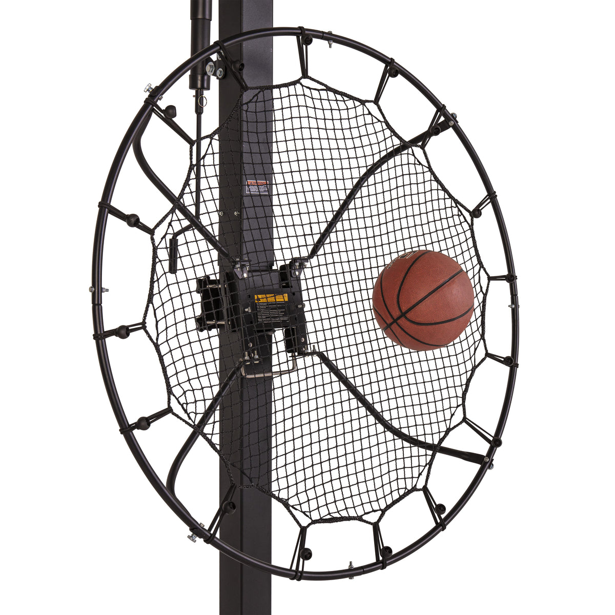 Escalade Sports Silverback - Lock n Rock Pass Back