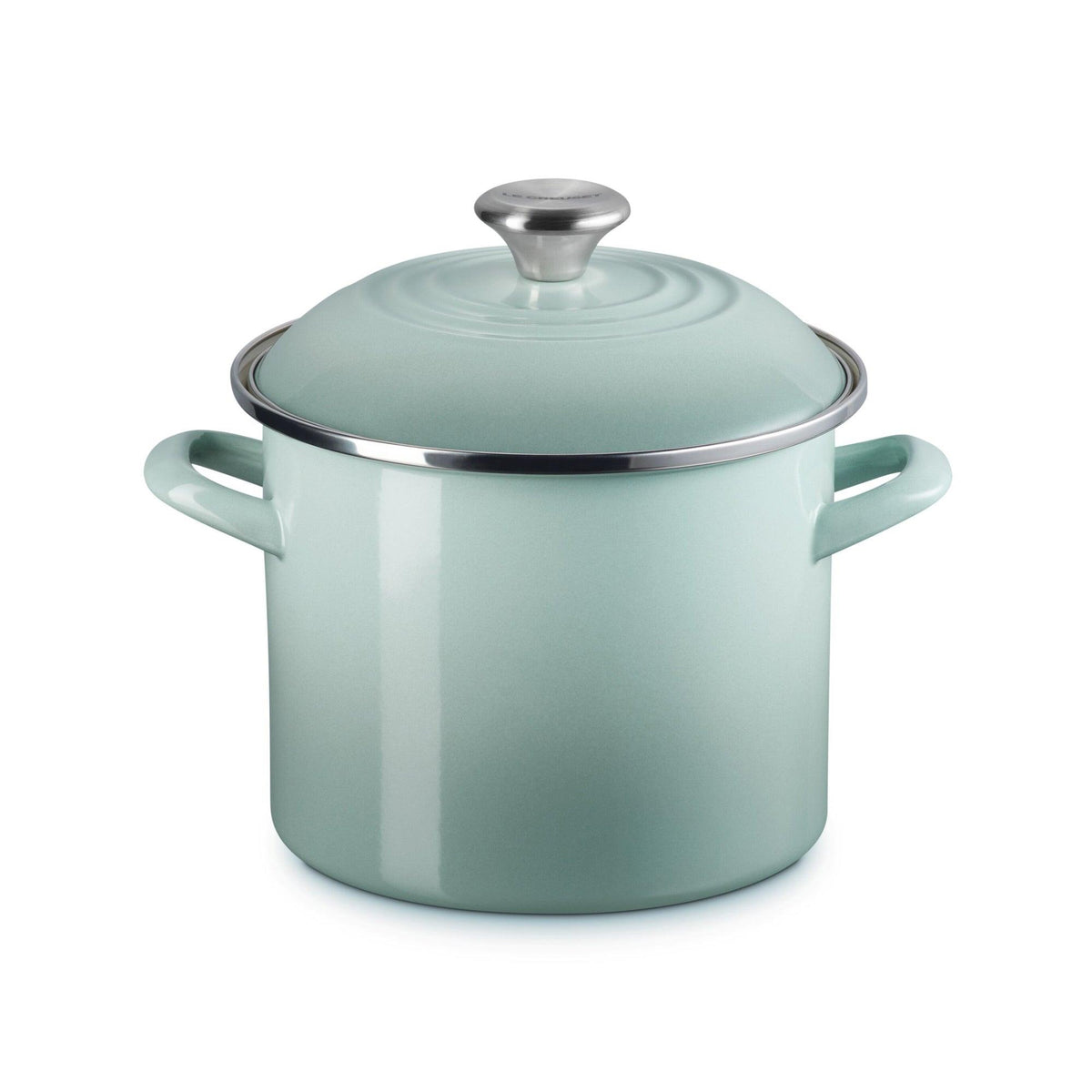 Le Creuset 6qt Enamel on Steel Covered Stockpot Sea Salt