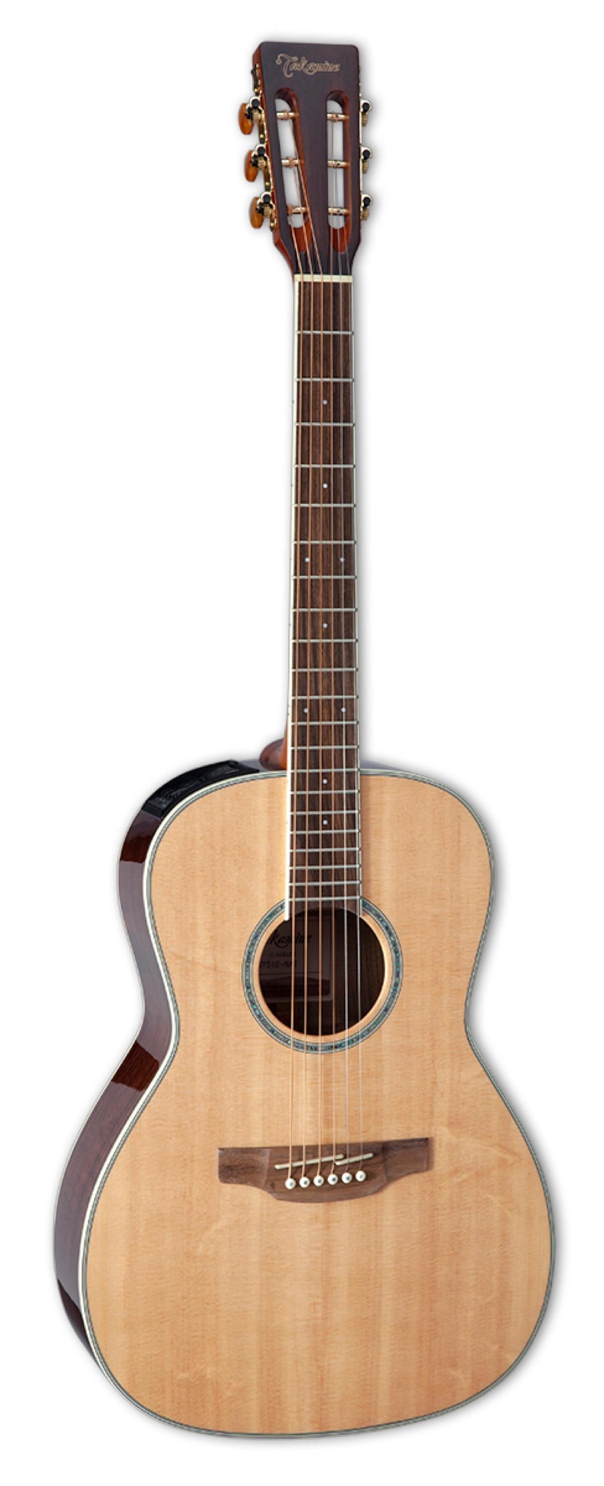 Takamine New Yorker Acoustic- Electric Guitar