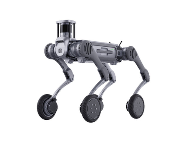 B2W-ROBOT