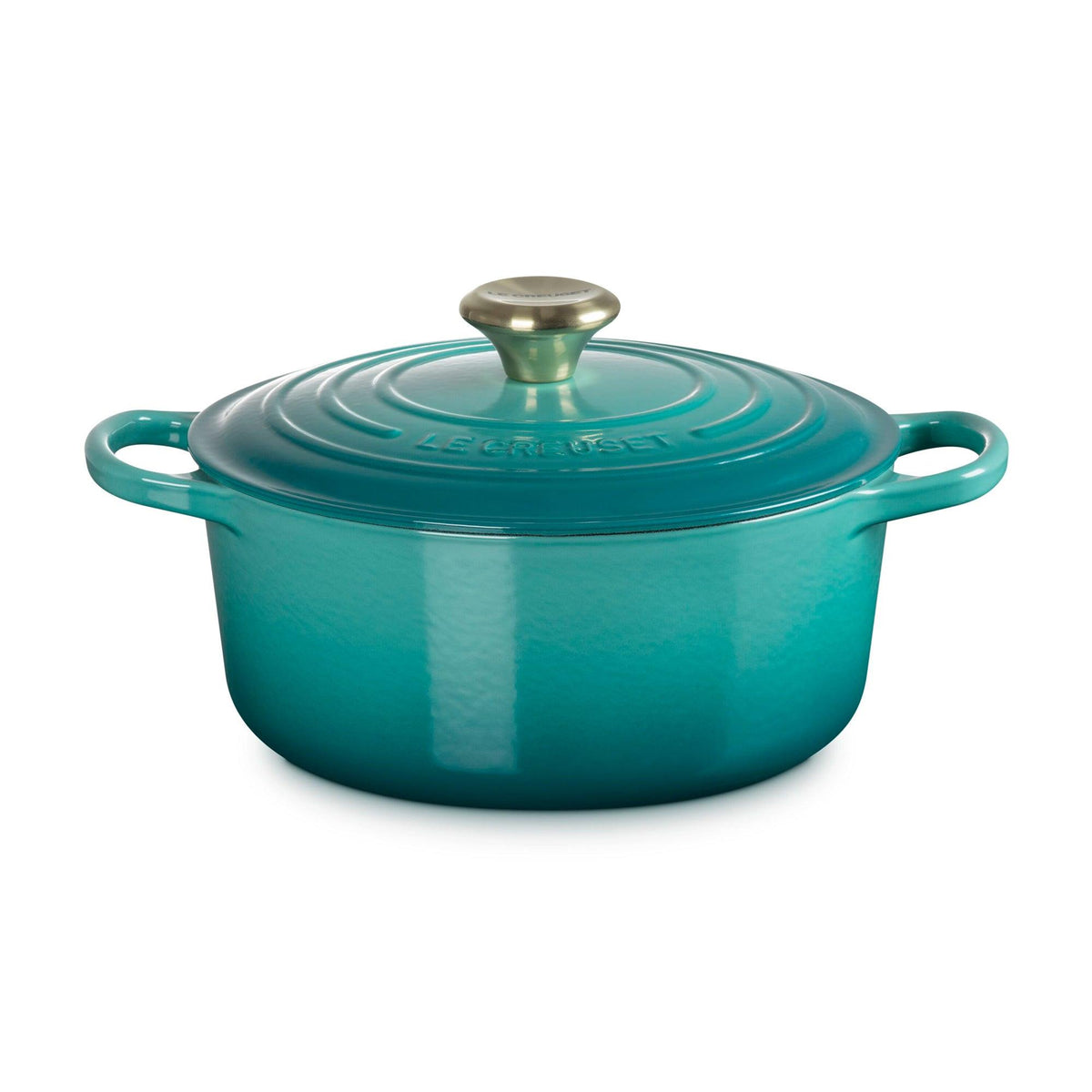Le Creuset 4.5qt Signature Cast Iron Round Dutch Oven Riviera