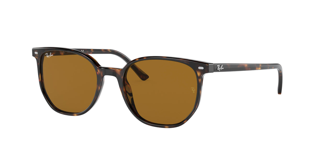 Ray-Ban Elliot Sunglasses