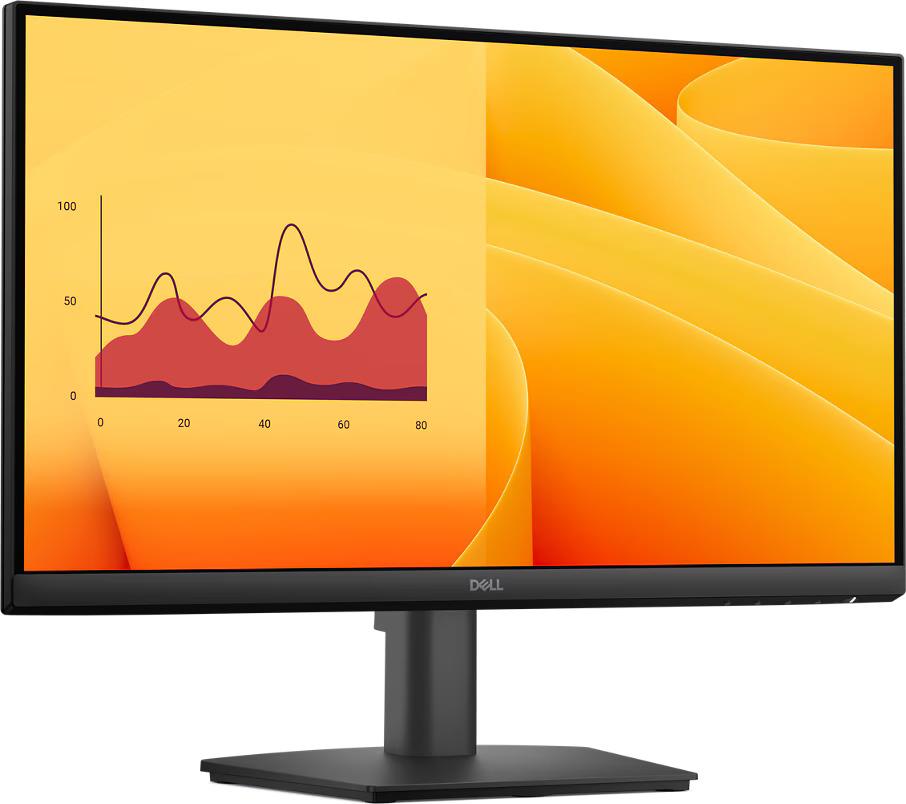 DELL 22" Pro Monitor