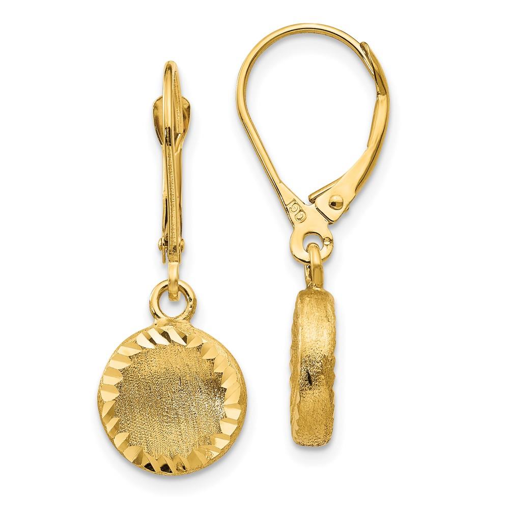 Distinctive 14k Brushed and Polished Diamond-cut Circle Leverback Earrings