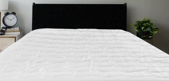 Sealy Luxury Cotton Mattress Pad - Queen