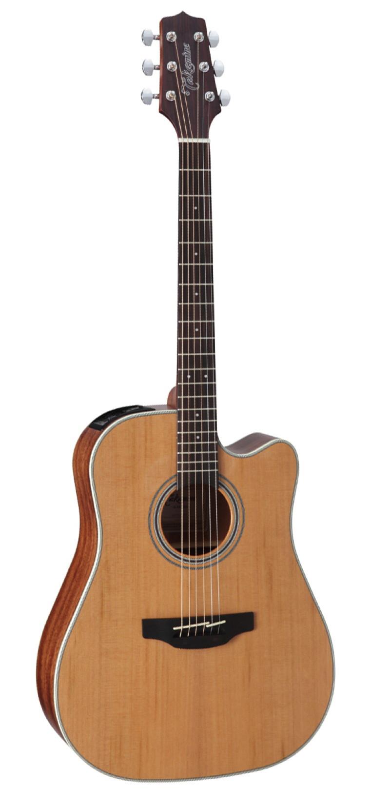 Takamine GD20CE Acoustic-Electric Guitar
