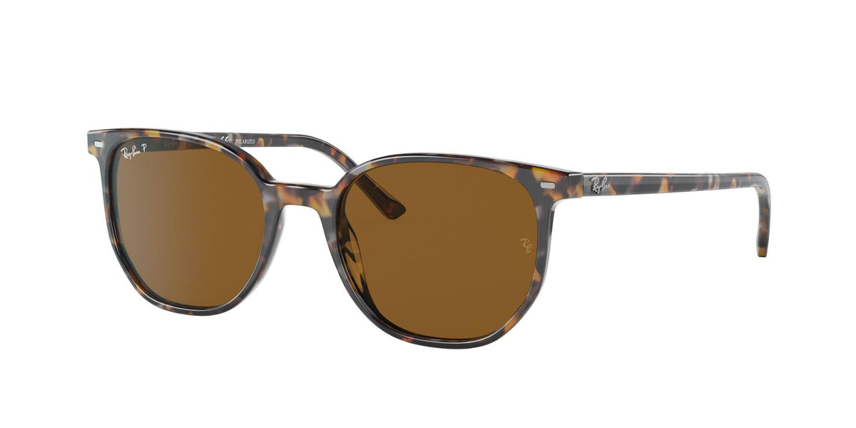 Ray-Ban Polarized Elliot Sunglasses