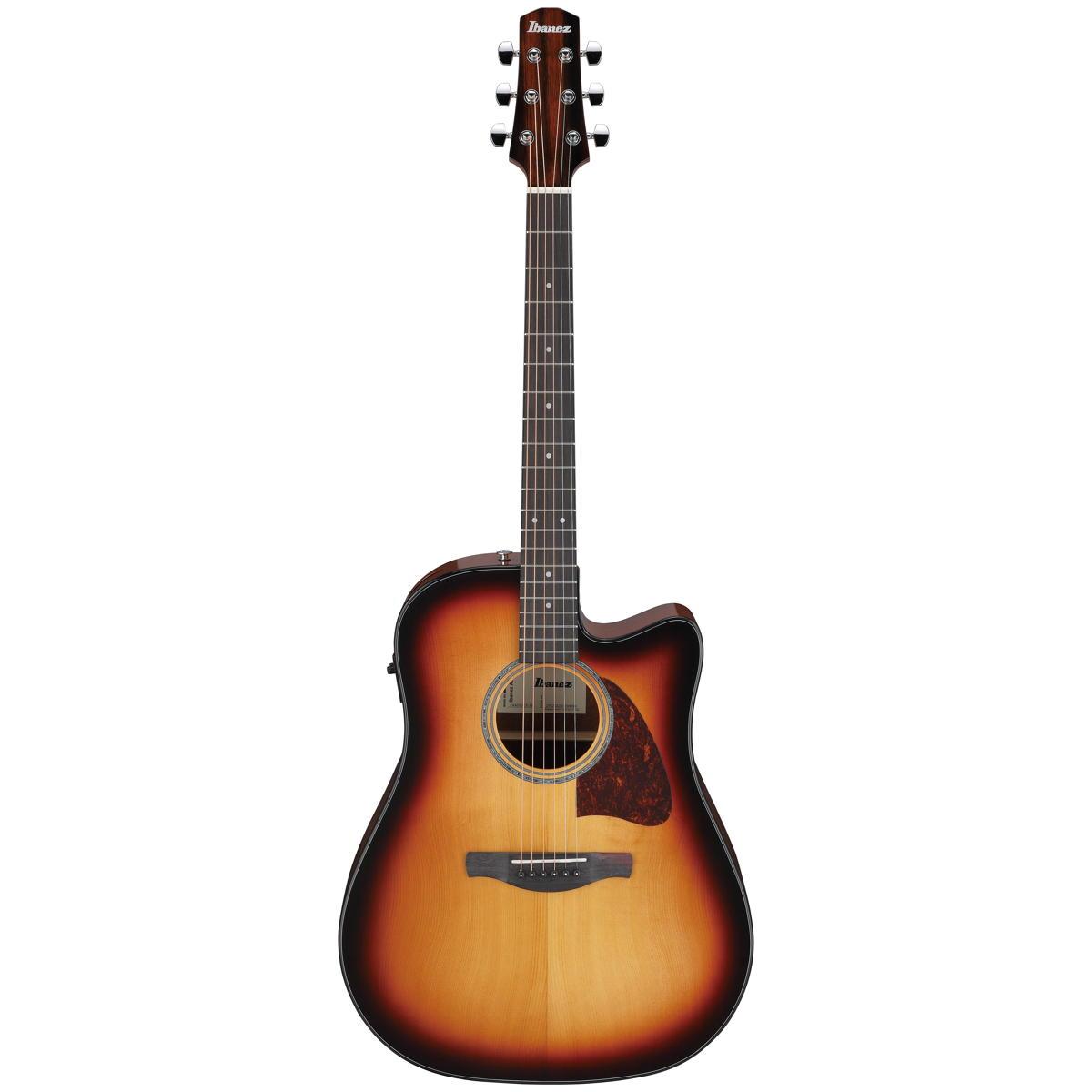 Ibanez Acoustic Electric Guitar