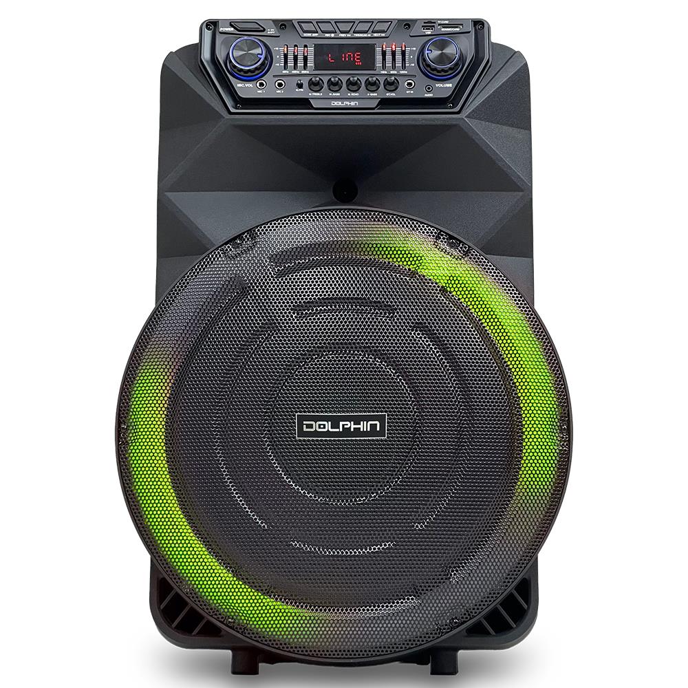 Dolphin Party Speaker w/Wireless Mic Size 18"