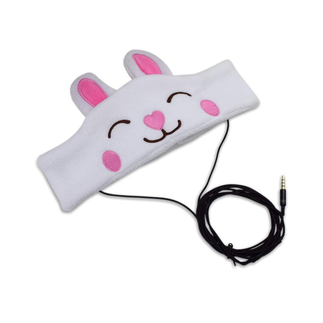 H1-Rabbit